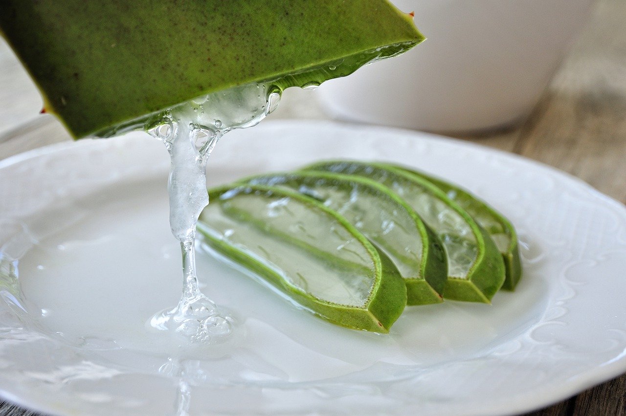 Nature's healer: Aloe vera
